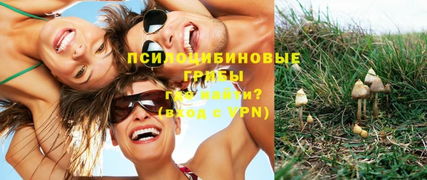 не бодяженный Аркадак