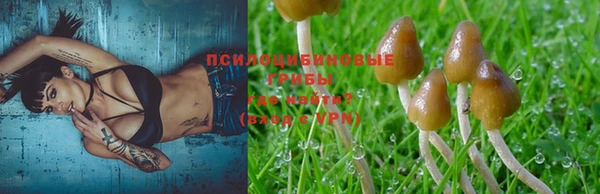 не бодяженный Аркадак