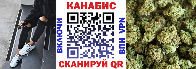 Конопля семена Верея